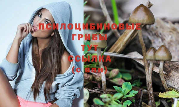 скорость Алексеевка