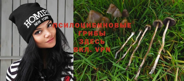 скорость Алексеевка