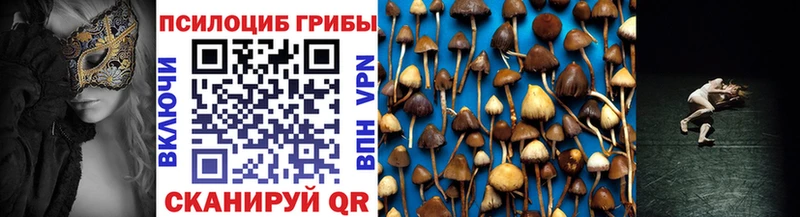 сколько стоит  shop наркотические препараты  Галлюциногенные грибы MAGIC MUSHROOMS  Дыгулыбгей  KRAKEN ТОР 
