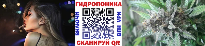 Шишки марихуана планчик  где продают наркотики  Дыгулыбгей 